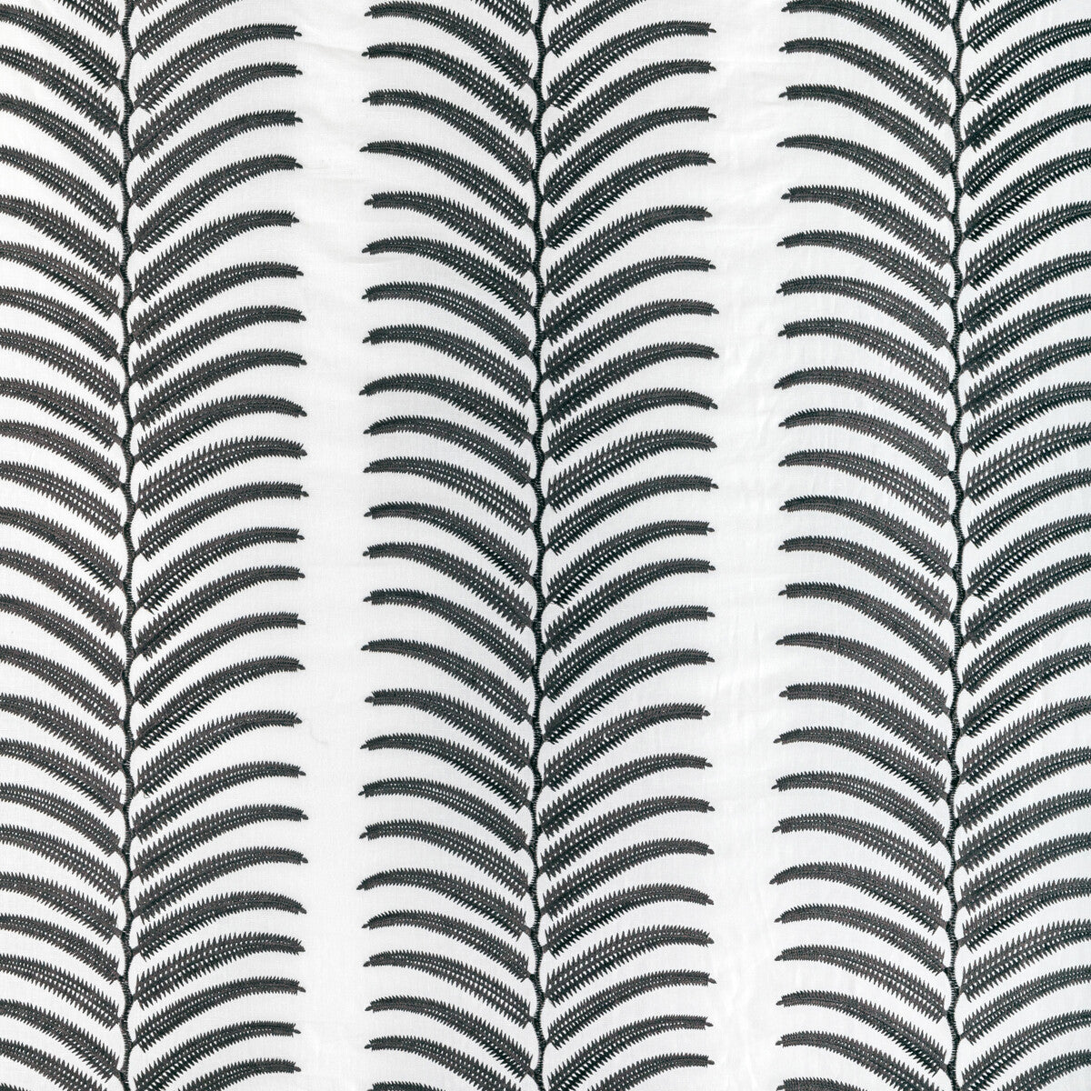 Plantae fabric in noir color - pattern 36344.81.0 - by Kravet Couture in the Modern Luxe III collection