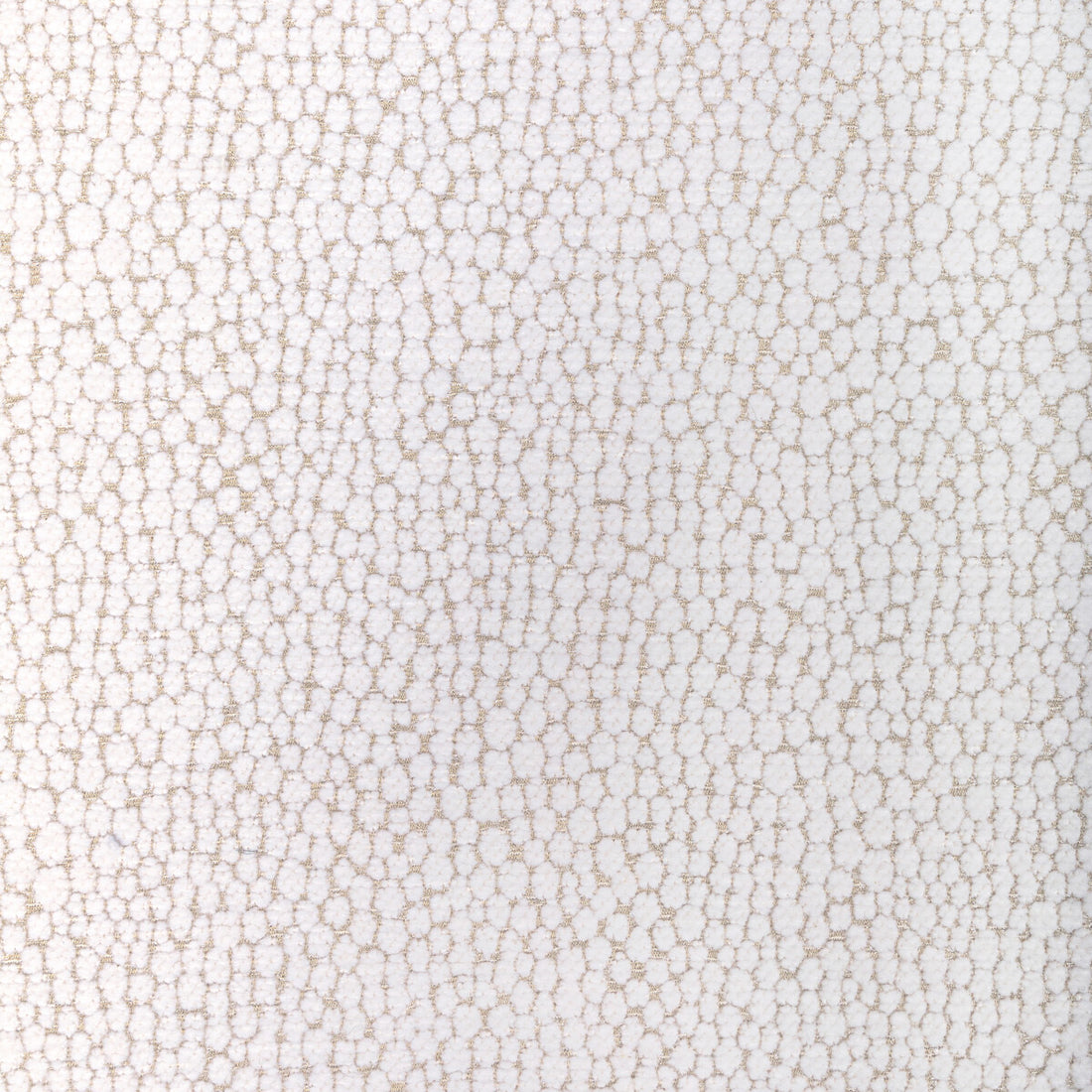 Starfall fabric in ivory silver color - pattern 36349.101.0 - by Kravet Couture in the Modern Luxe III collection