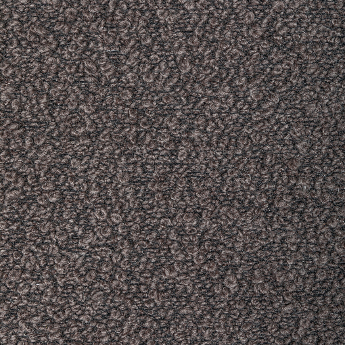 Woolywooly fabric in fig color - pattern 36396.21.0 - by Kravet Couture in the Barbara Barry Ojai collection