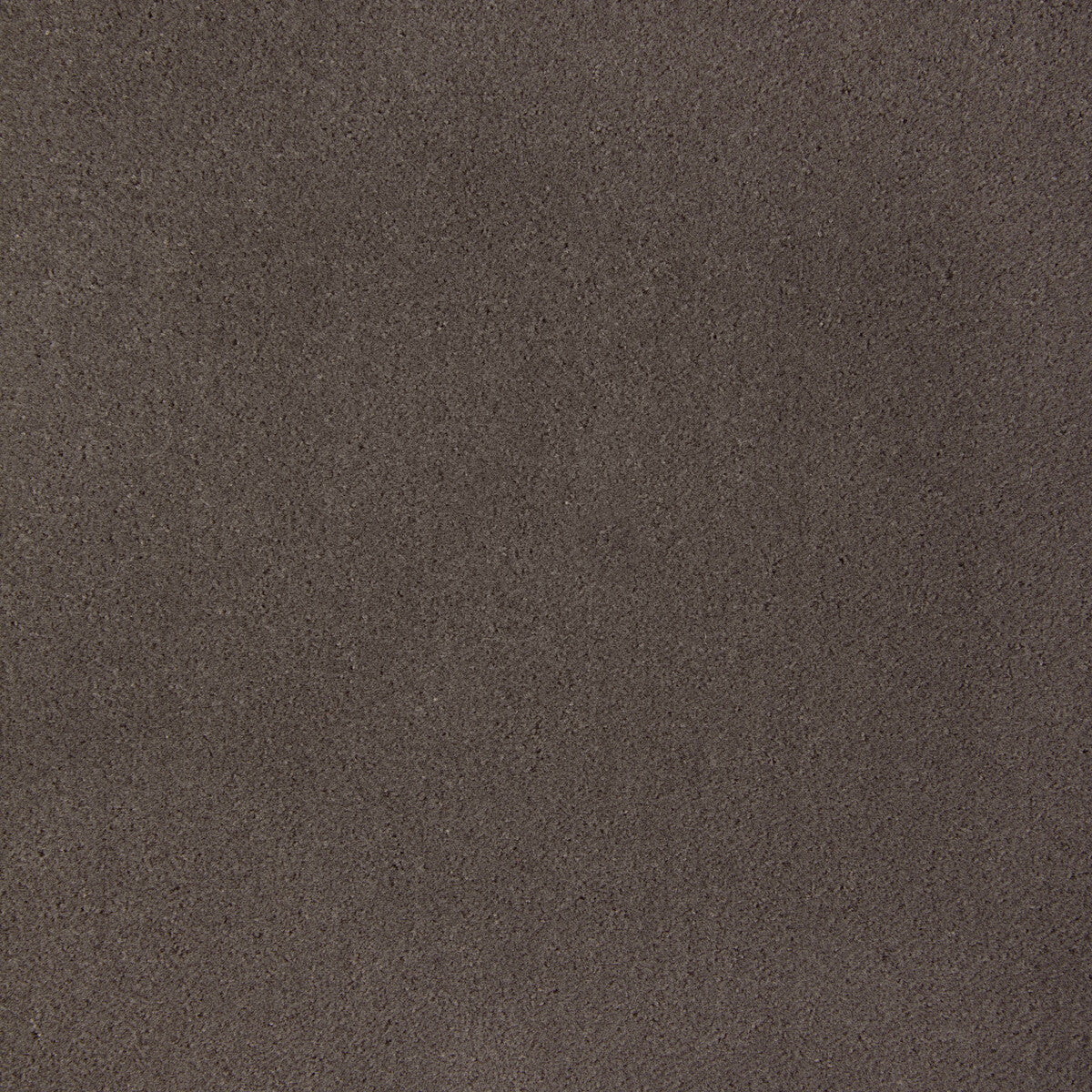 Fomo fabric in majestic color - pattern 36543.106.0 - by Kravet Contract