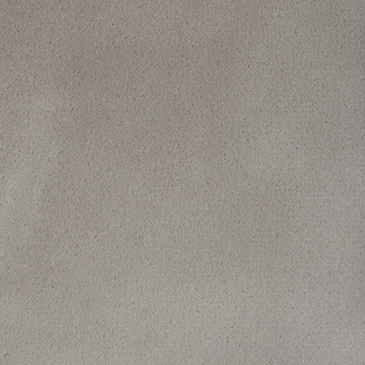 Fomo fabric in bramble color - pattern 36543.1101.0 - by Kravet Contract