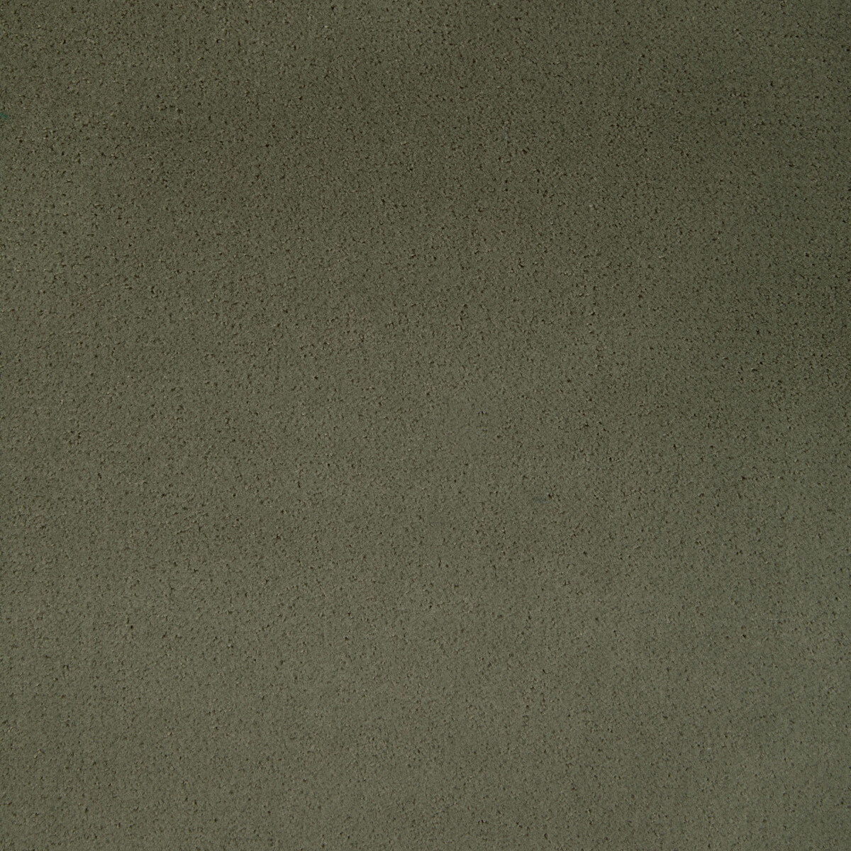 Fomo fabric in fennel color - pattern 36543.130.0 - by Kravet Contract