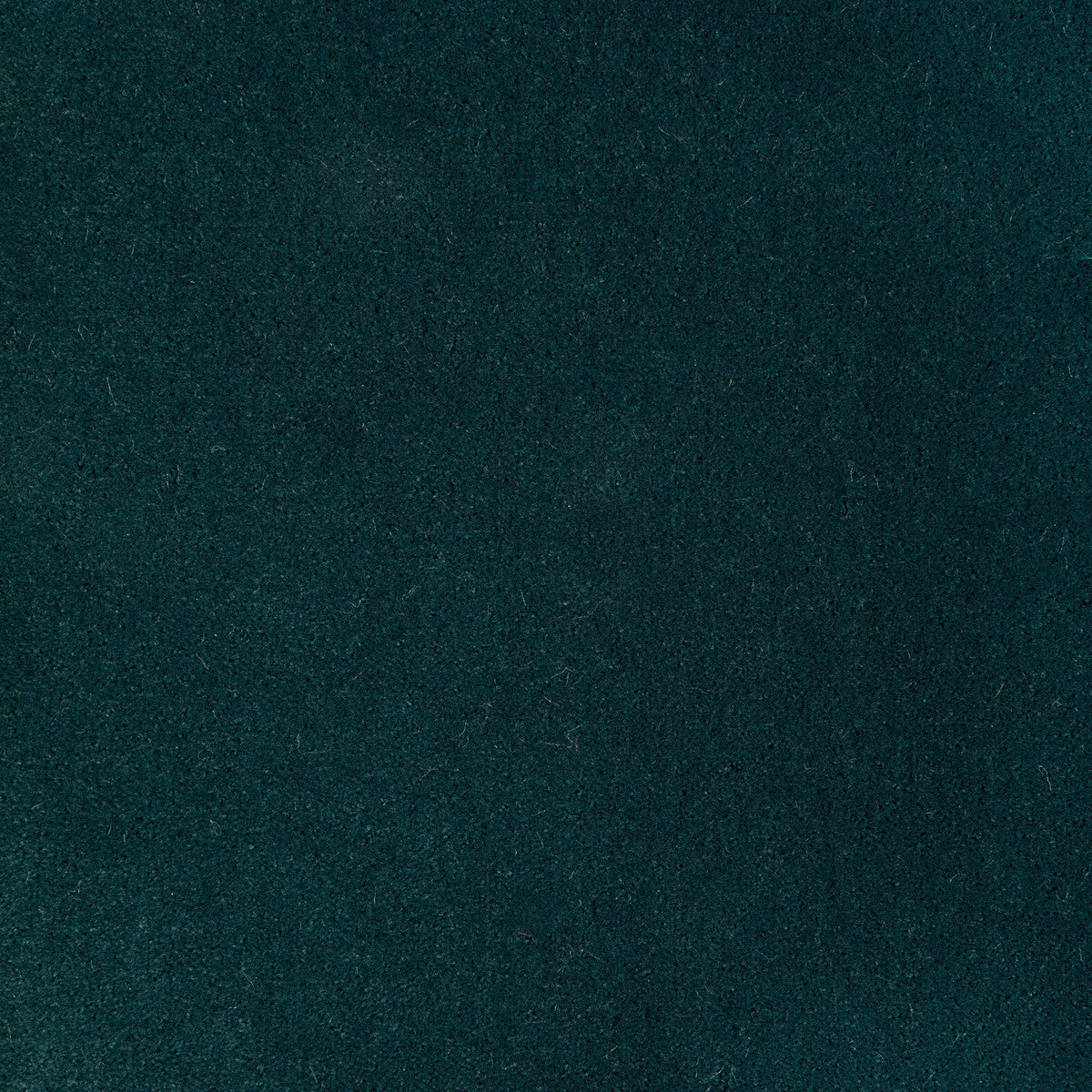 Fomo fabric in egyptian green color - pattern 36543.35.0 - by Kravet Contract