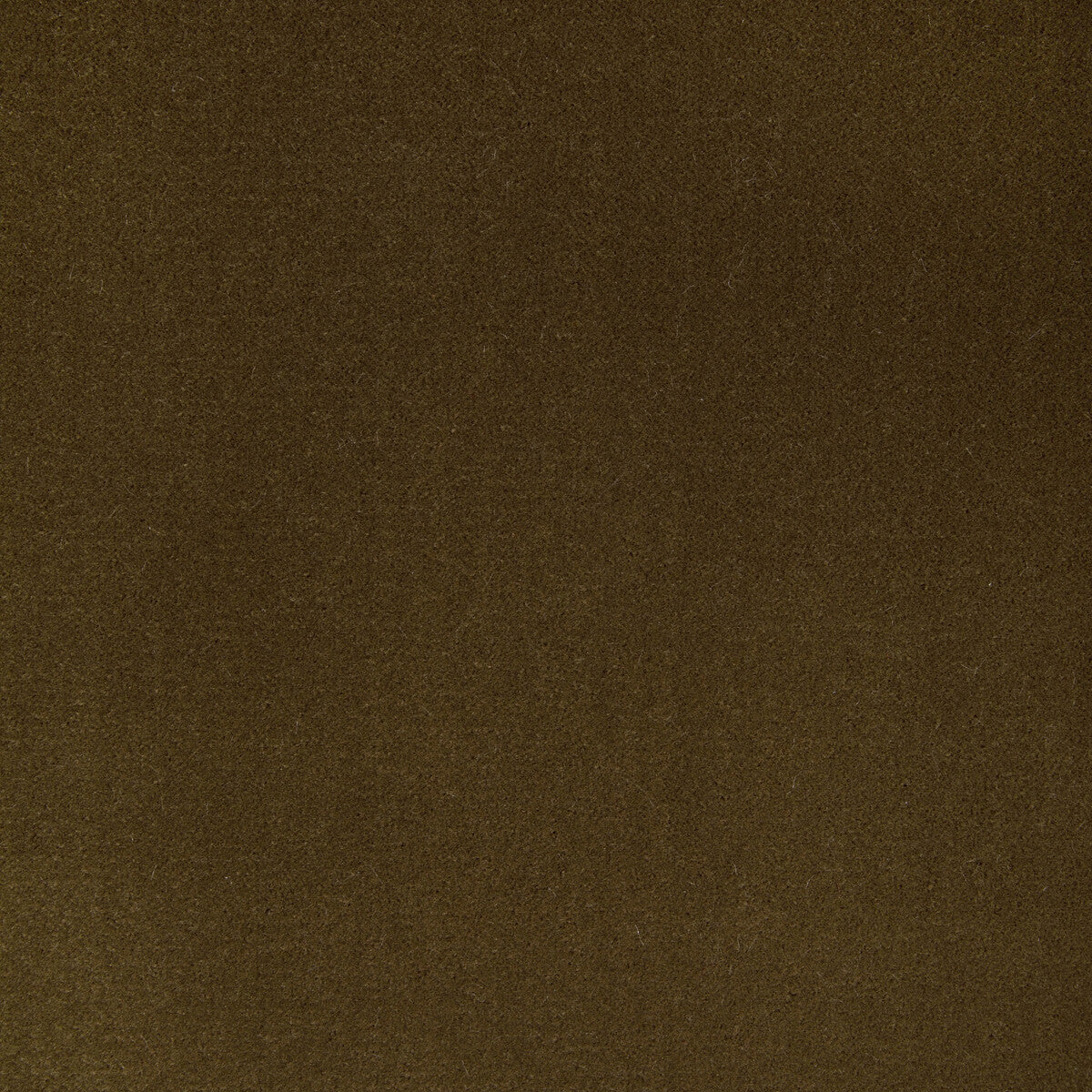 Fomo fabric in bronze color - pattern 36543.6.0 - by Kravet Contract