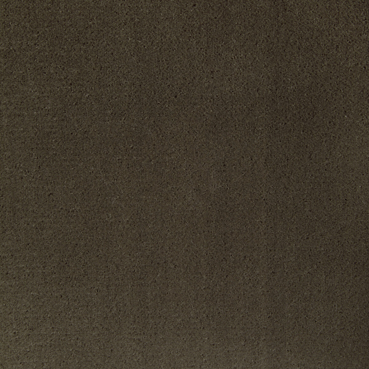 Fomo fabric in etruscan color - pattern 36543.606.0 - by Kravet Contract