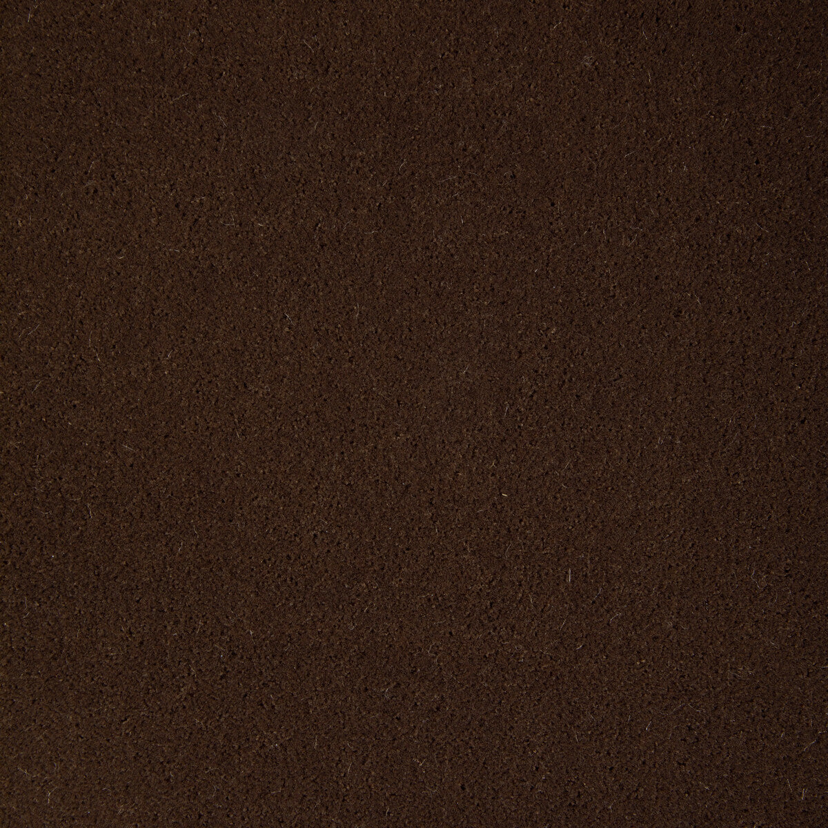 Fomo fabric in cub color - pattern 36543.66.0 - by Kravet Contract
