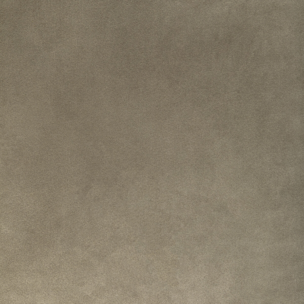 Rocco Velvet fabric in mink color - pattern 36652.106.0 - by Kravet Contract