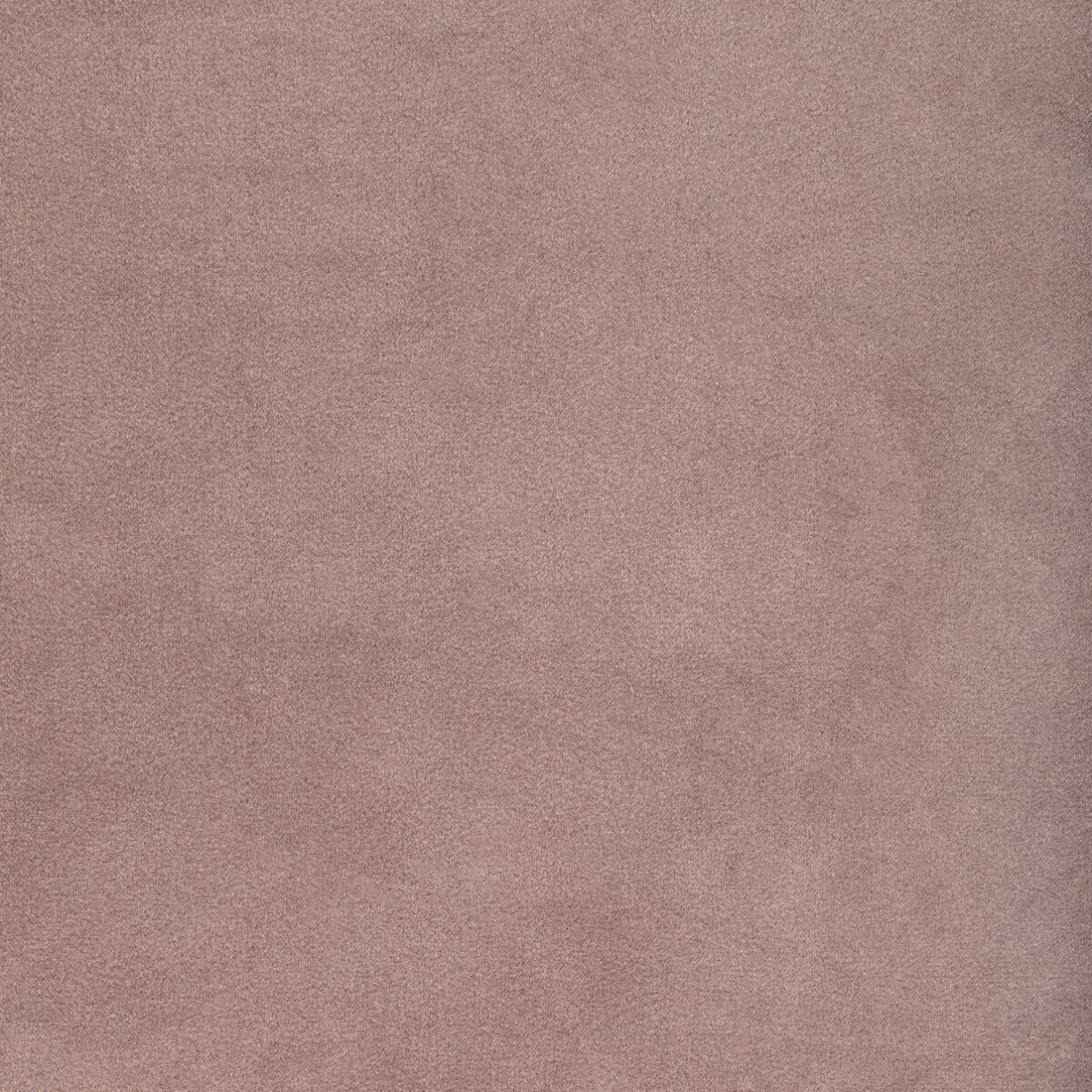 Rocco Velvet fabric in wisteria color - pattern 36652.110.0 - by Kravet Contract