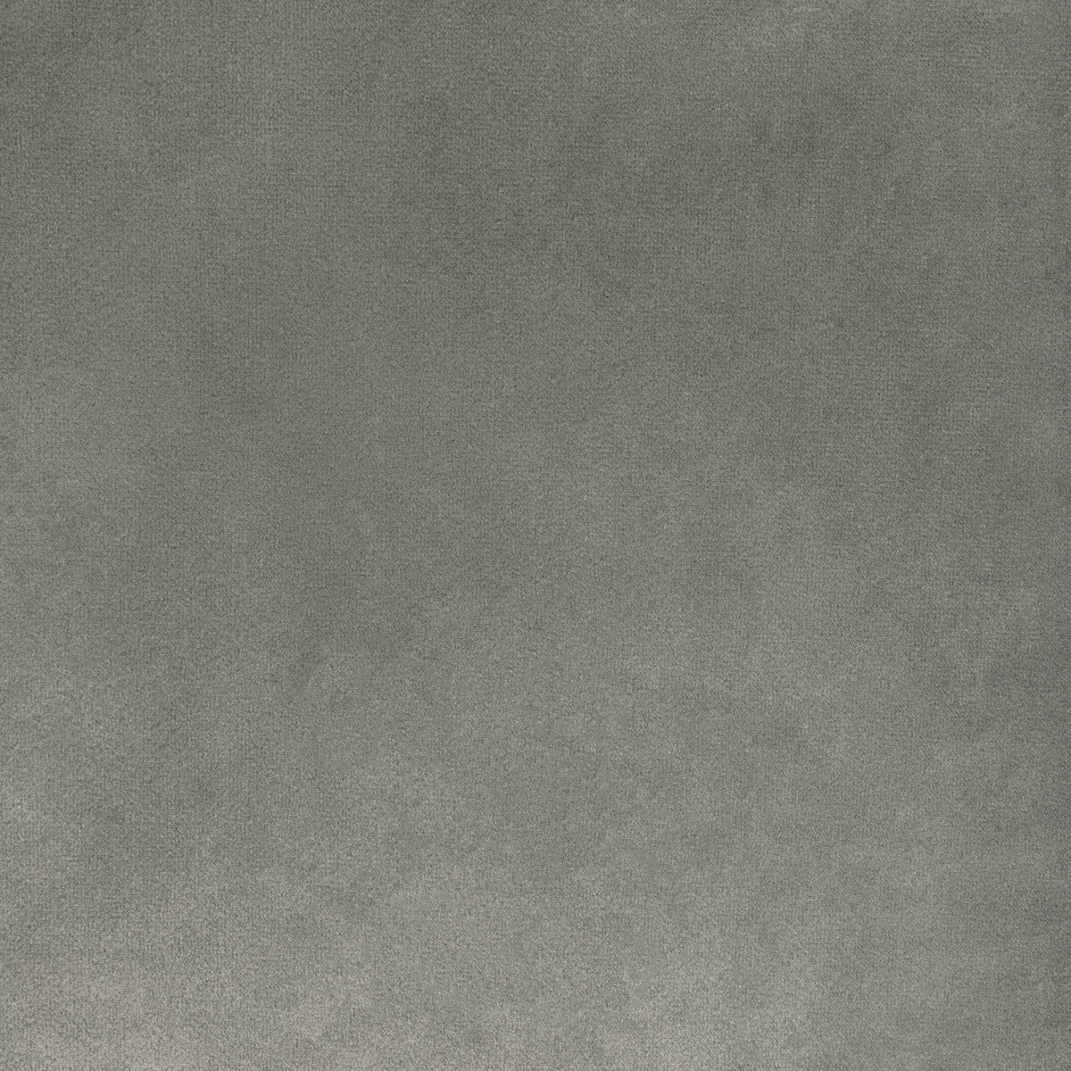 Rocco Velvet fabric in mercury color - pattern 36652.1121.0 - by Kravet Contract