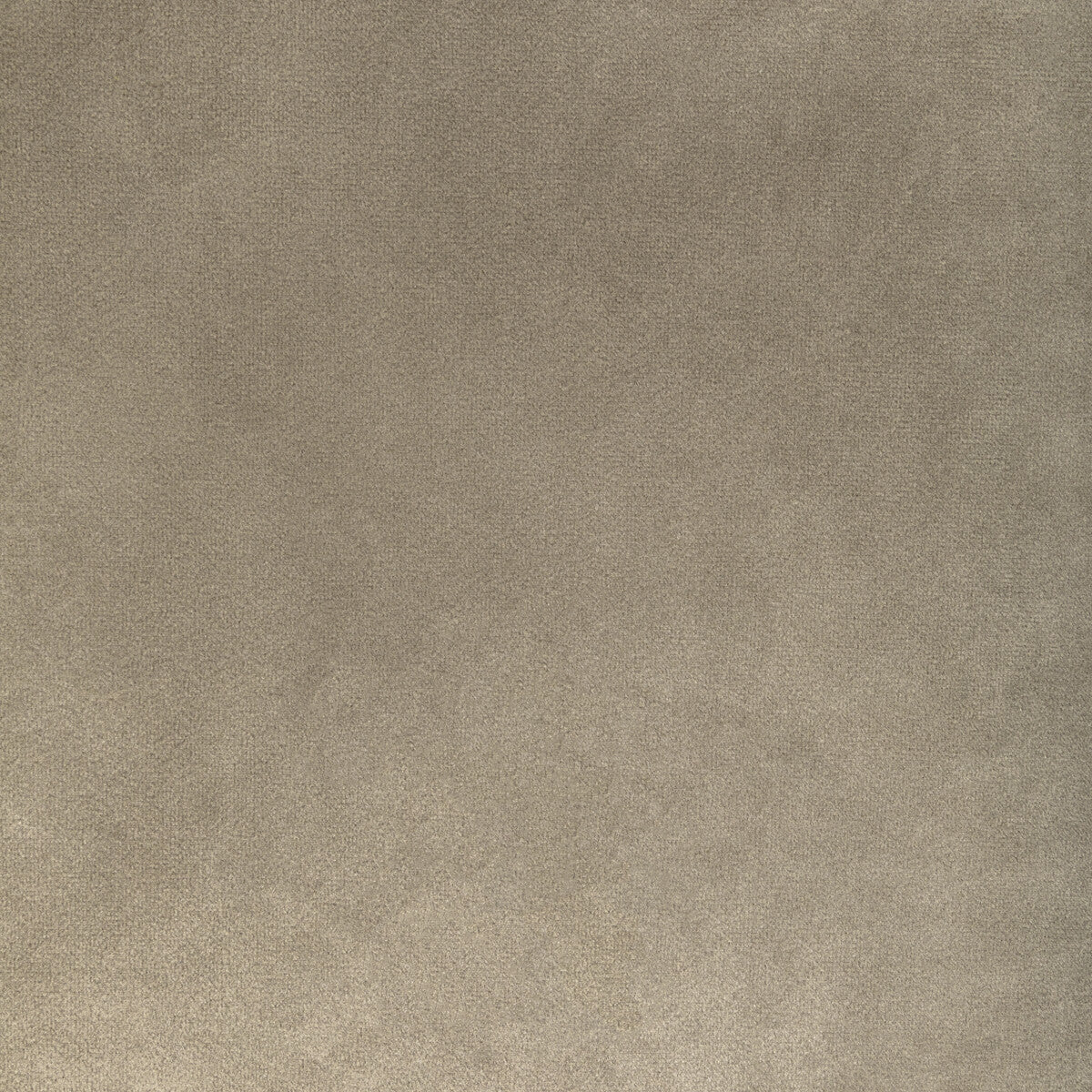 Rocco Velvet fabric in stone color - pattern 36652.16.0 - by Kravet Contract