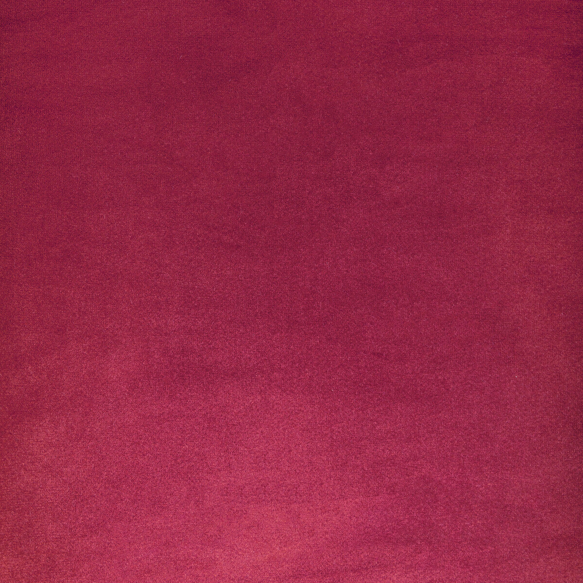 Rocco Velvet fabric in rosa color - pattern 36652.19.0 - by Kravet Contract