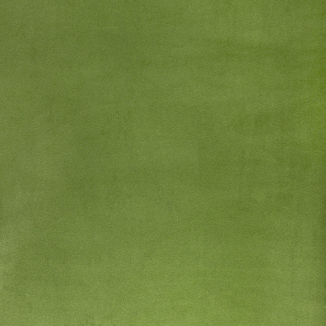 Rocco Velvet fabric in cactus color - pattern 36652.30.0 - by Kravet Contract