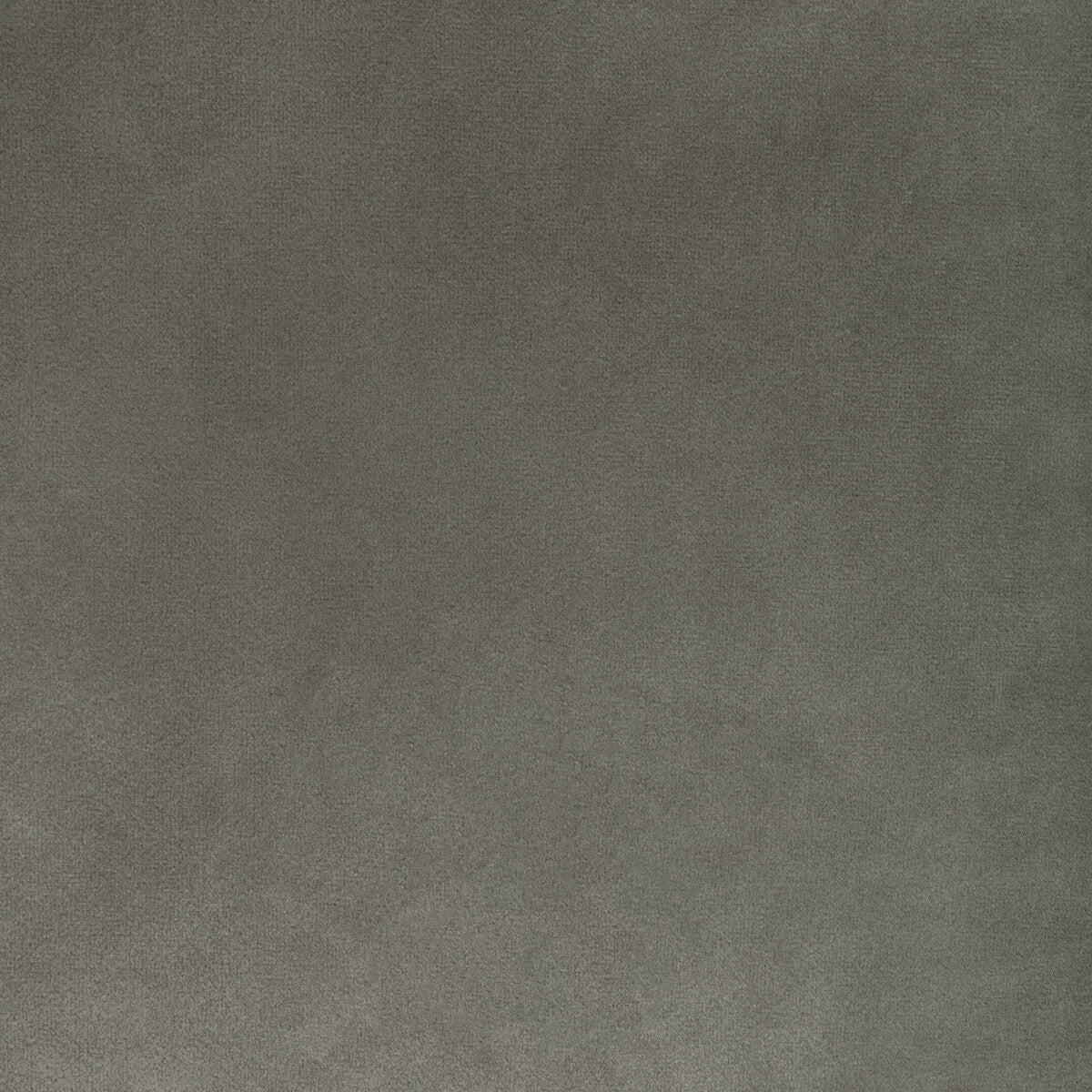 Rocco Velvet fabric in anise color - pattern 36652.621.0 - by Kravet Contract
