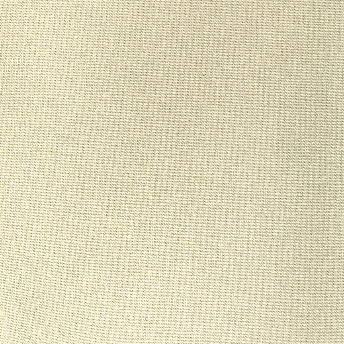 Kravet Basics fabric in 36656-116 color - pattern 36656.116.0 - by Kravet Basics