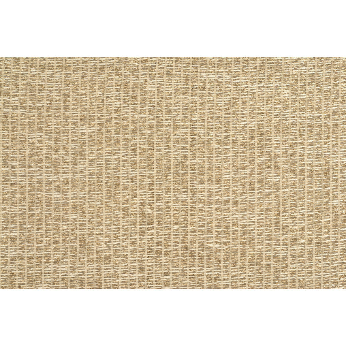 Bejo Sheer fabric in gilt color - pattern 3668.4.0 - by Kravet Couture in the Calvin Klein Home collection