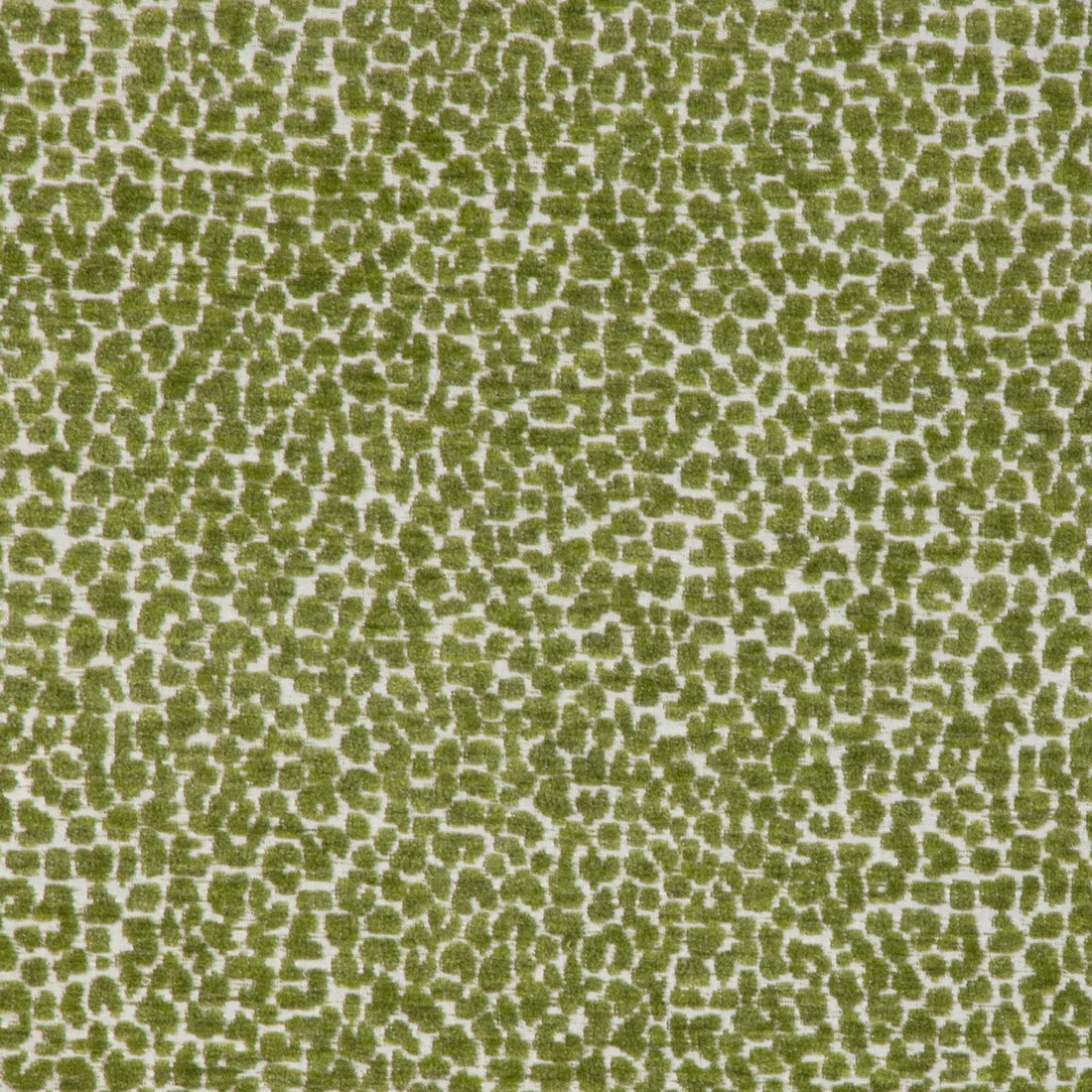 Kravet Design fabric in 36777-3 color - pattern 36777.3.0 - by Kravet Design in the Sea Island Indoor/Outdoor collection