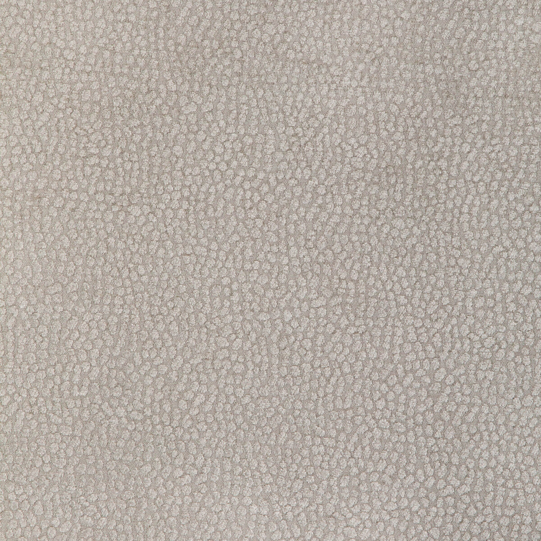 Pebble Chenille fabric in putty color - pattern 36812.11.0 - by Kravet Design in the Candice Olson collection