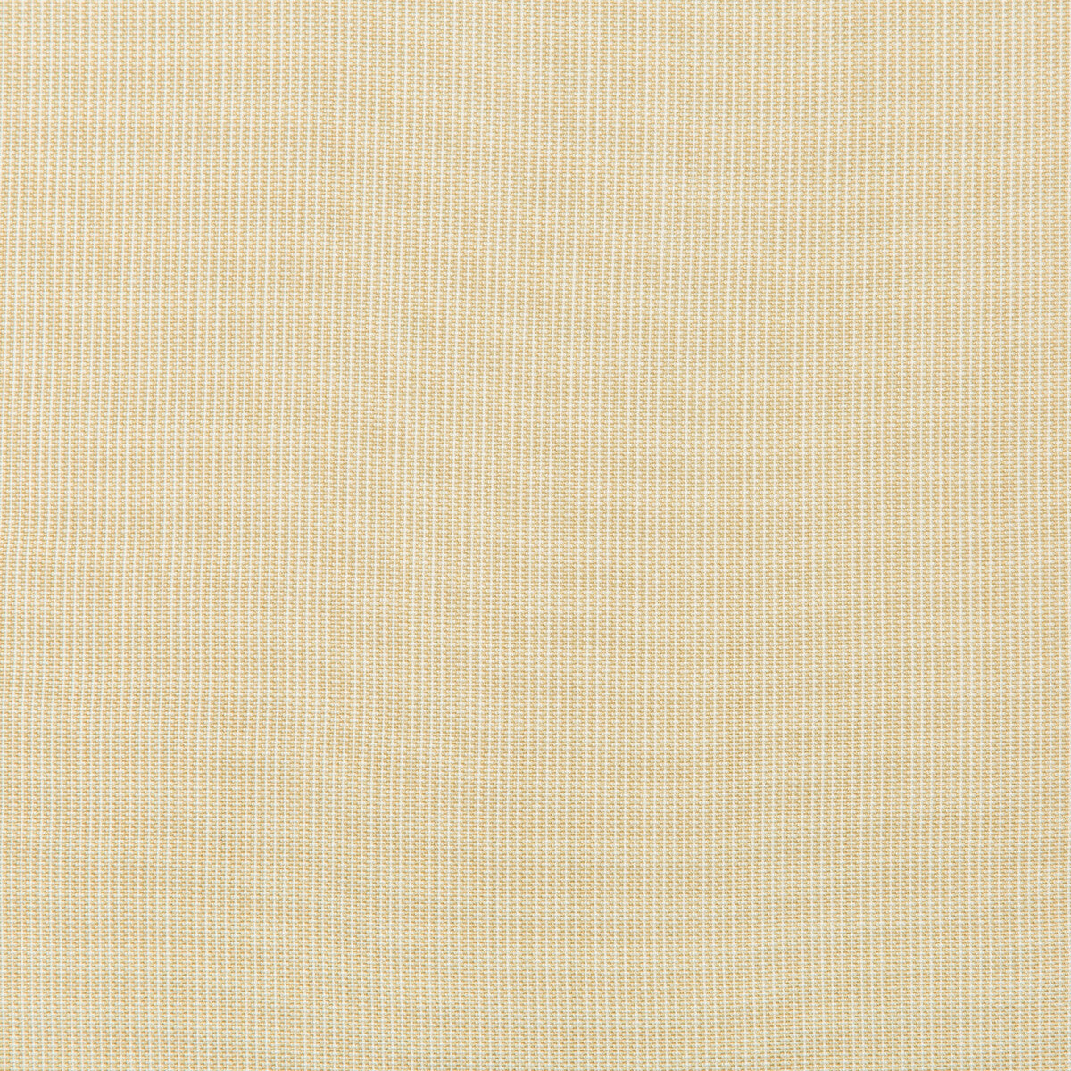 Kravet Basics fabric in 36820-16 color - pattern 36820.16.0 - by Kravet Basics in the Indoor / Outdoor collection