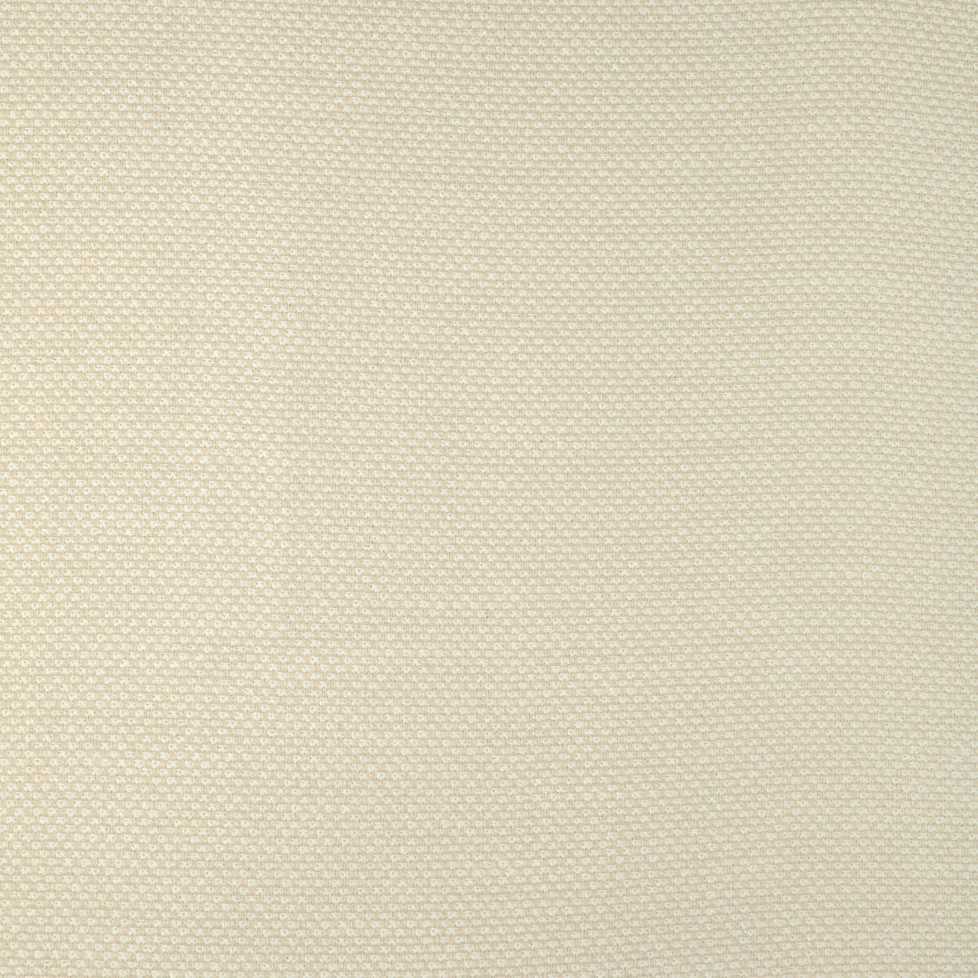 Kravet Smart fabric in 36999-1 color - pattern 36999.1.0 - by Kravet Smart in the Pavilion collection