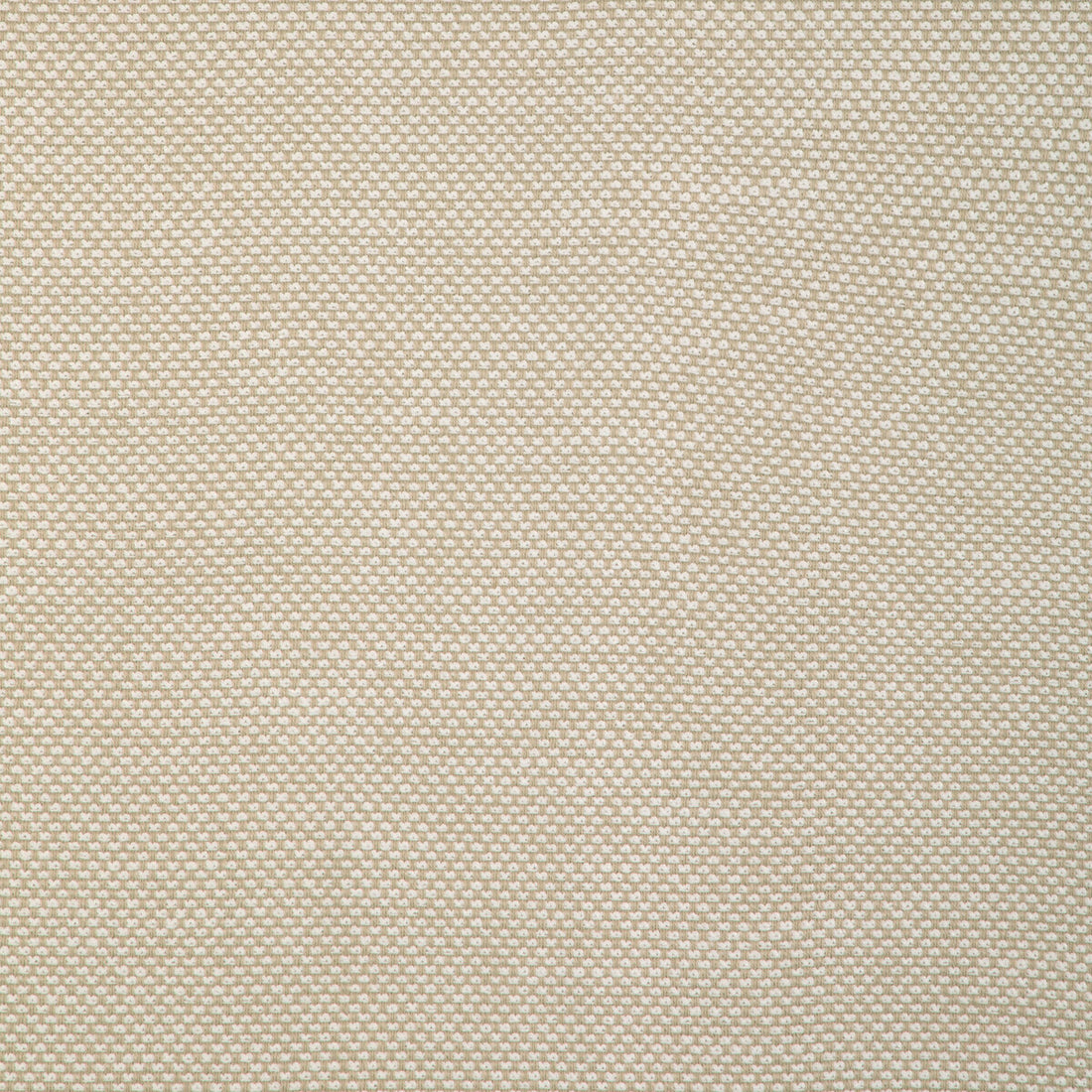 Kravet Smart fabric in 36999-116 color - pattern 36999.116.0 - by Kravet Smart in the Pavilion collection
