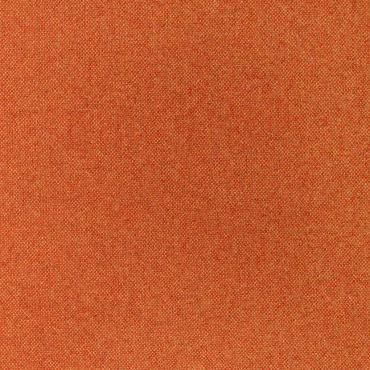 Manchester Wool fabric in squash color - pattern 37026.194.0 - by Kravet Contract