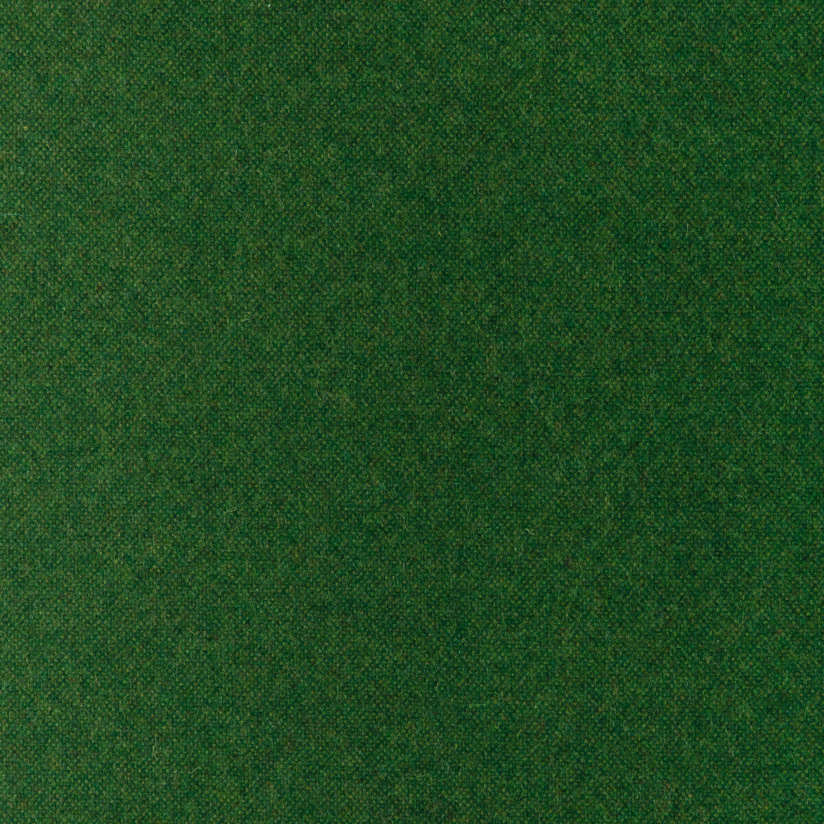 Manchester Wool fabric in grove color - pattern 37026.3.0 - by Kravet Contract