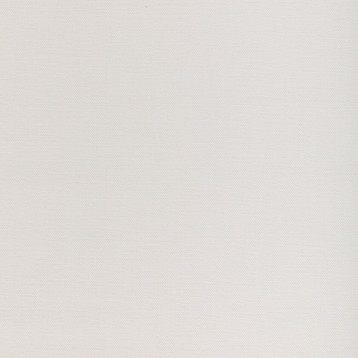 Softground fabric in ivory color - pattern number 37255.101.0 - by Kravet Couture in the Barbara Barry Landscape collection