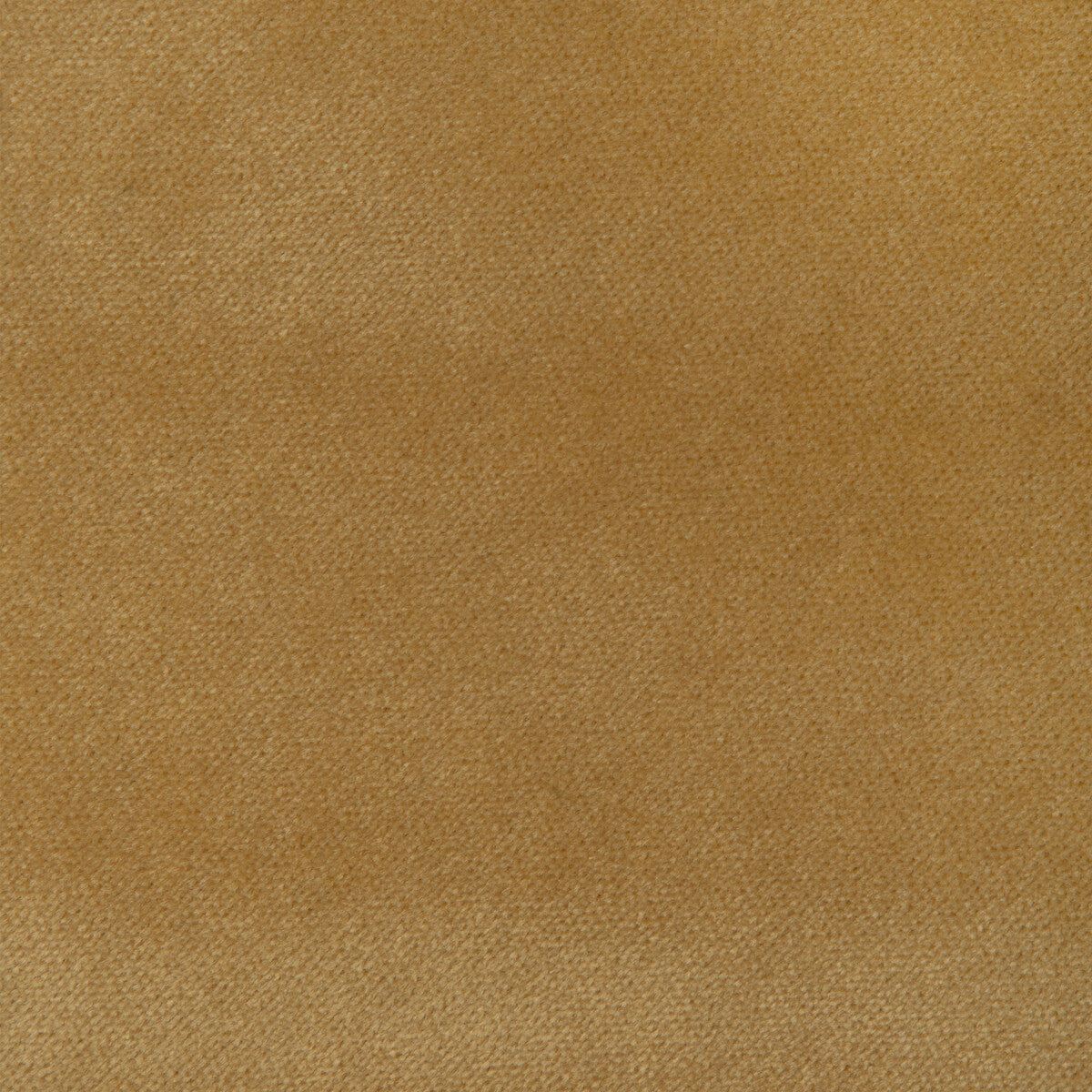 37302 fabric in 4 color - pattern number 37302.4.0 - by Kravet Smart in the The Complete Velvet collection