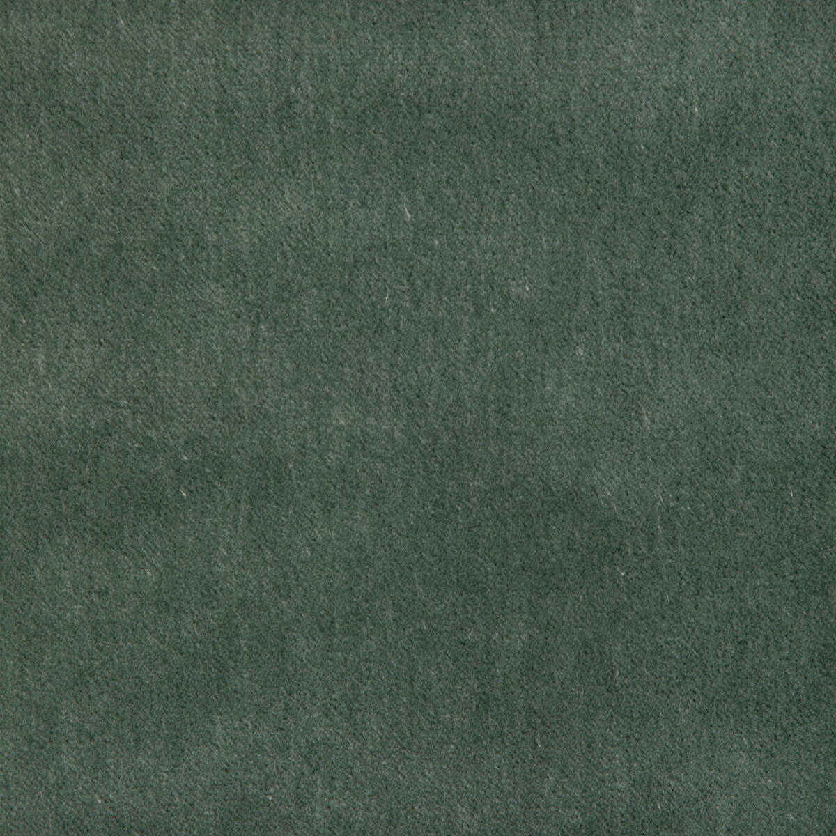 37303 fabric in 30 color - pattern number 37303.30.0 - by Kravet Smart in the The Complete Velvet collection