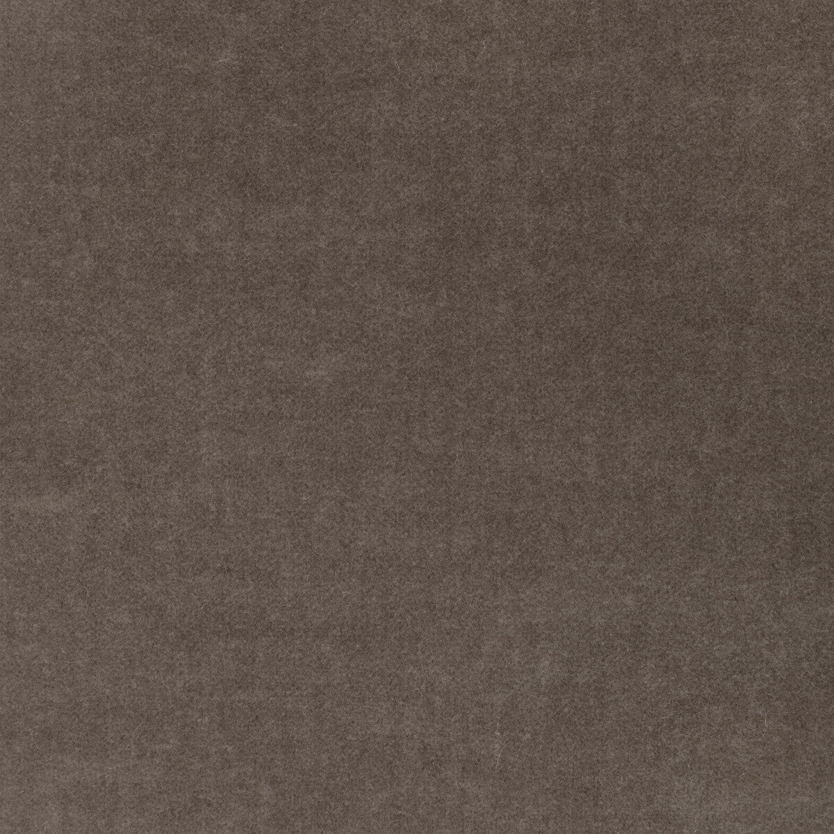 37306 fabric in 106 color - pattern number 37306.106.0 - by Kravet Design in the The Complete Velvet collection