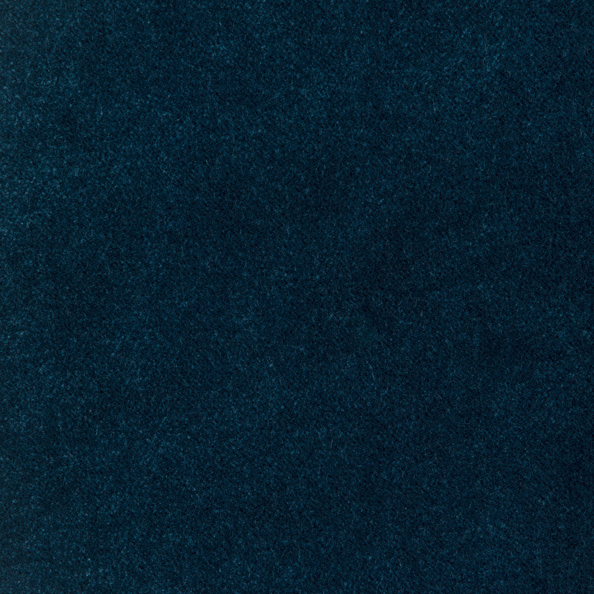 37309 fabric in 50 color - pattern number 37309.50.0 - by Kravet Design in the The Complete Velvet collection