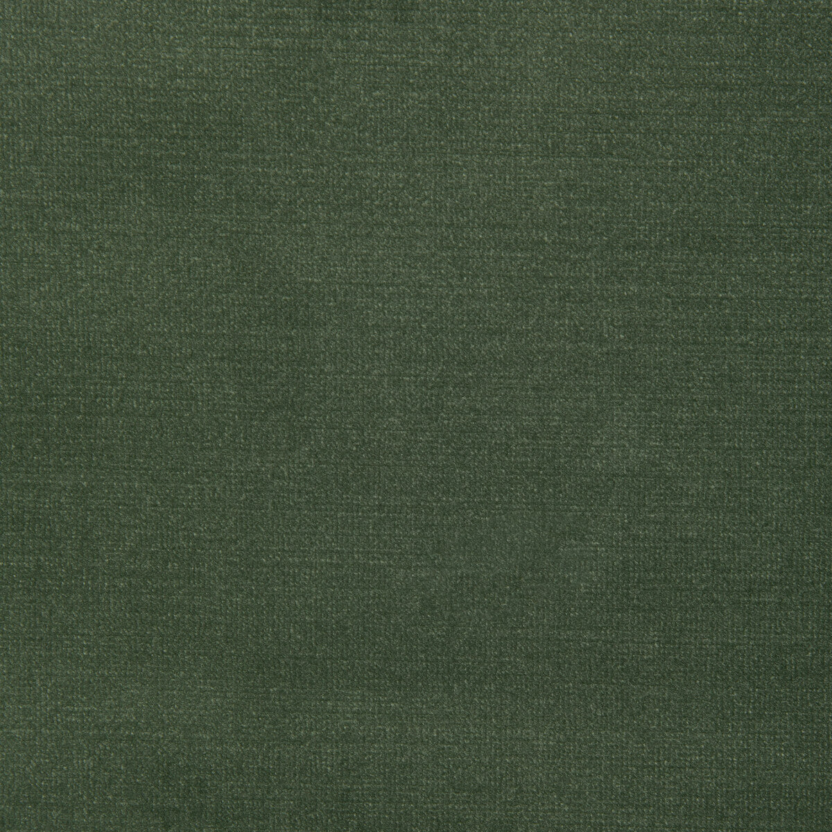 37314 fabric in 323 color - pattern number 37314.323.0 - by Kravet Design in the The Complete Velvet collection