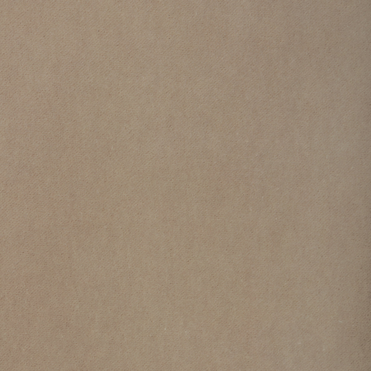 Tempo fabric in Oyster color - pattern number 37696.1101.0 - by Kravet Contract in the Tempo Velvets collection