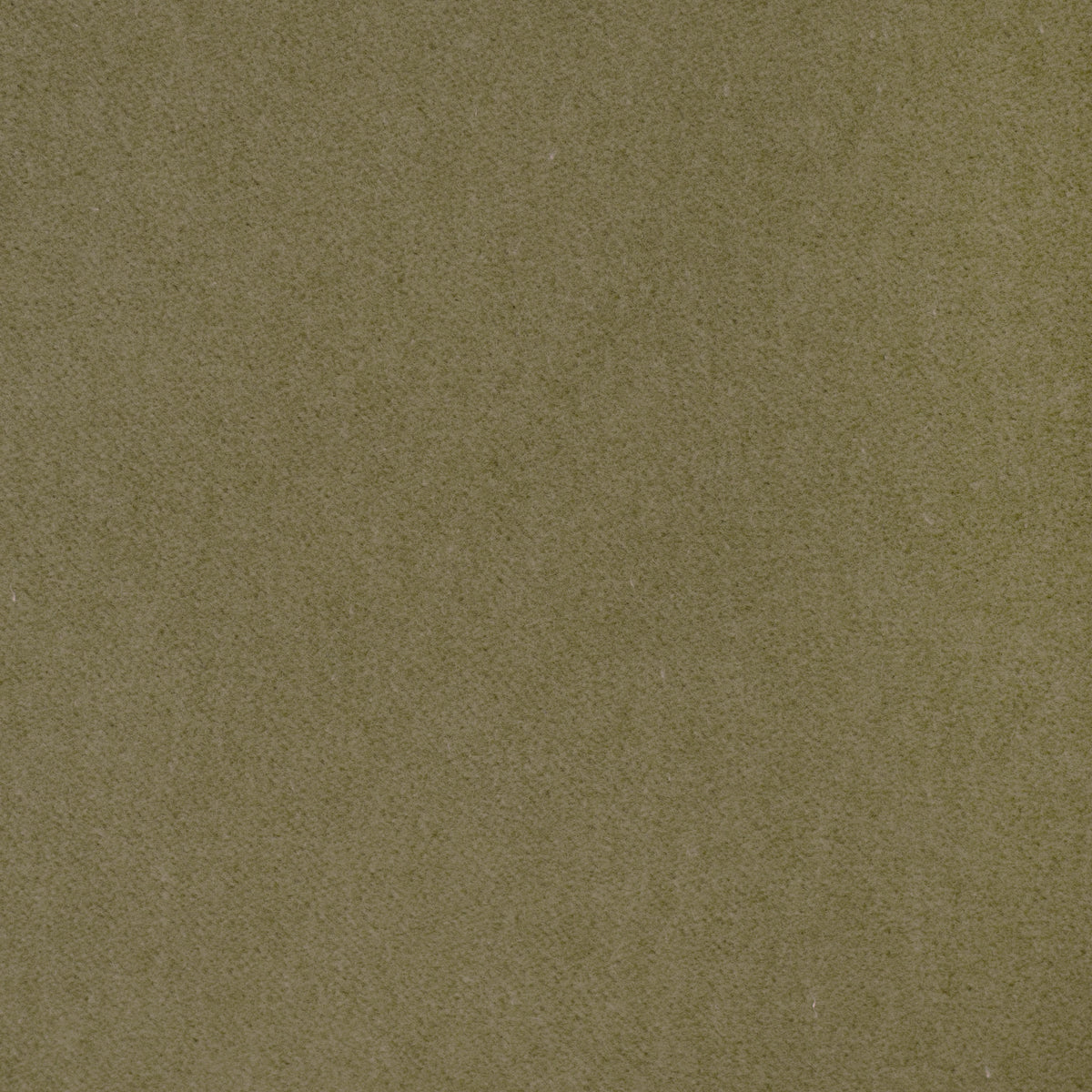 Tempo fabric in Pear color - pattern number 37696.123.0 - by Kravet Contract in the Tempo Velvets collection