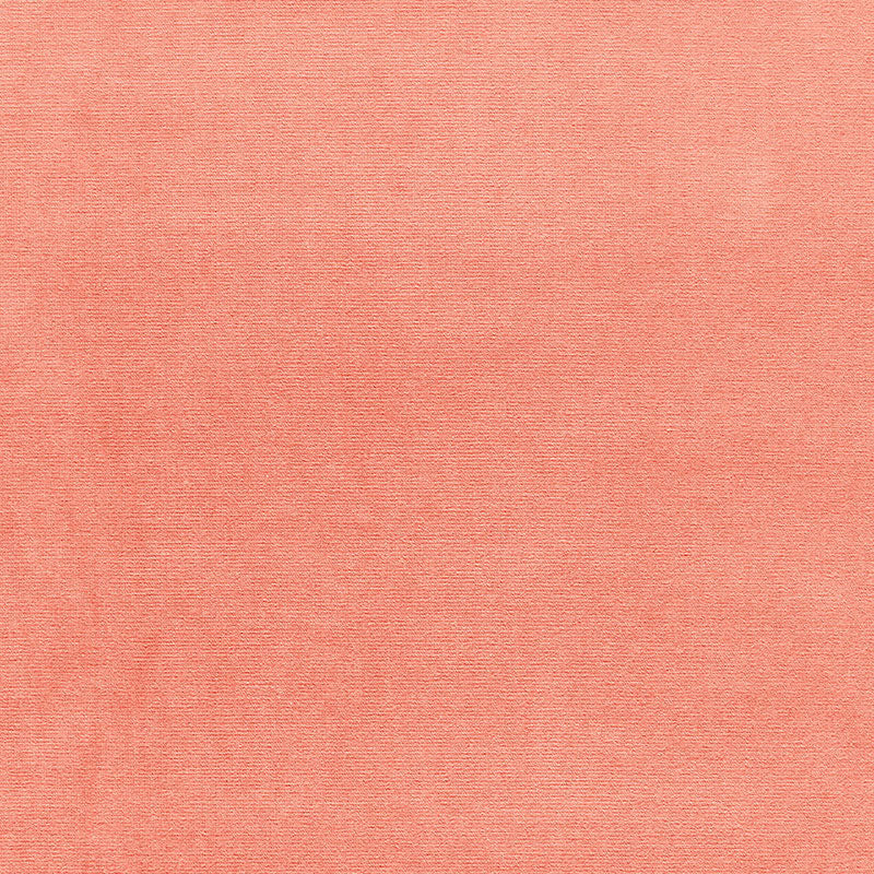 Gainsborough Velvet fabric in sea coral color - pattern number 42703 - by Schumacher in the Perfect Basics: Velvet collection