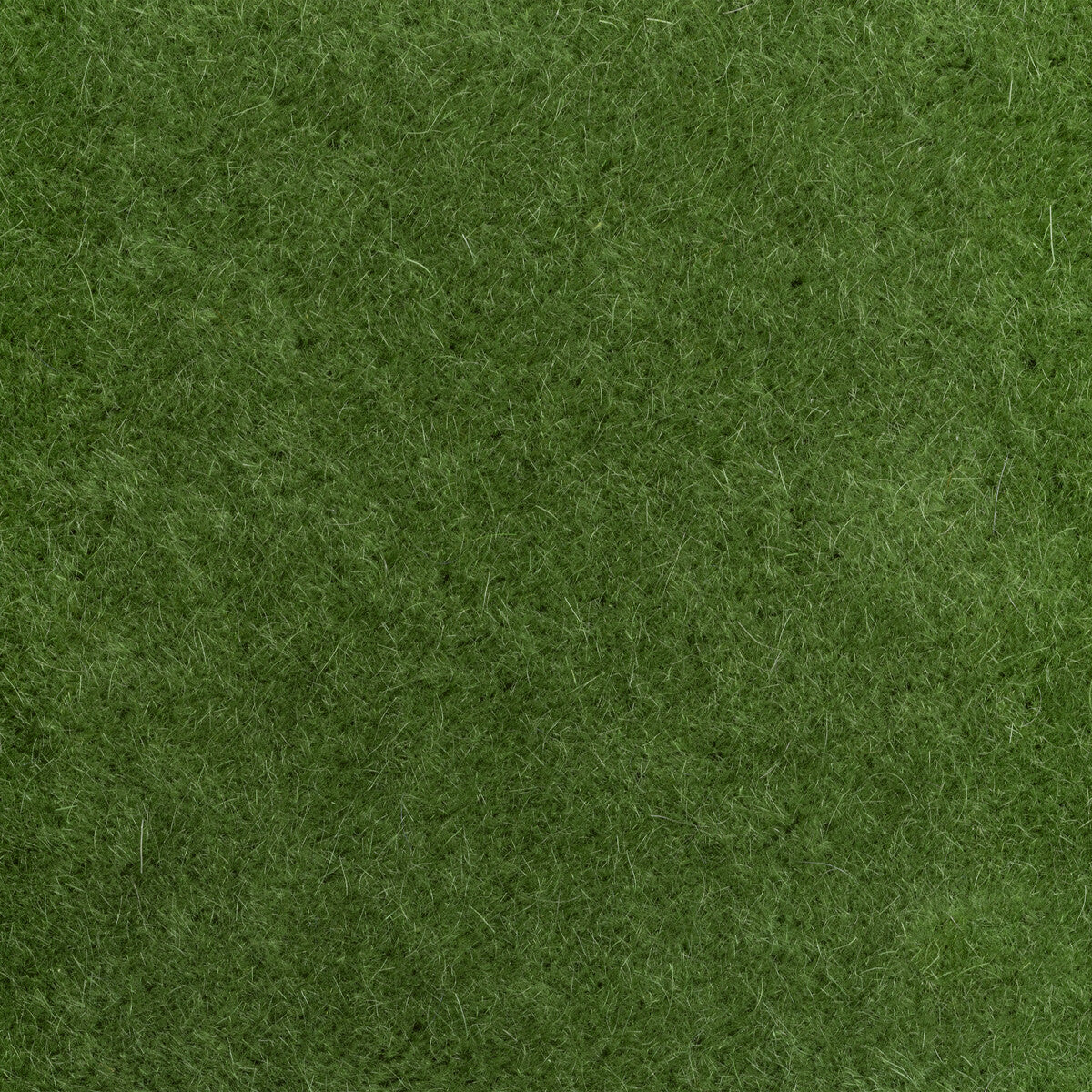 Versa fabric in balsam color - pattern number 6021102.3.0 - by Donghia in the Donghia I collection