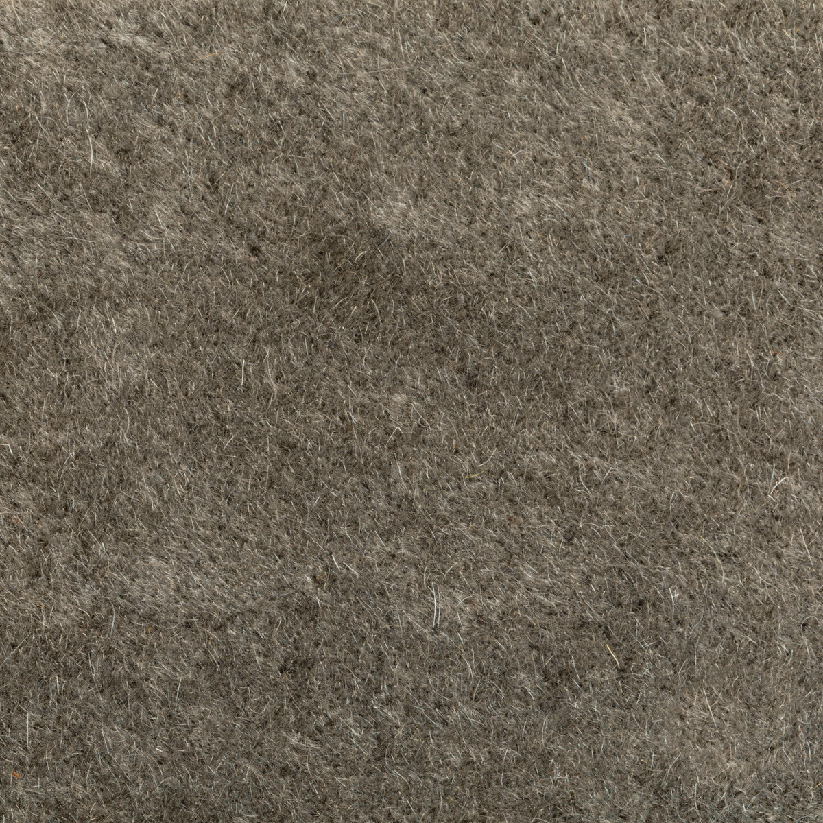 Versa fabric in coyote color - pattern number 6021102.611.0 - by Donghia in the Donghia I collection