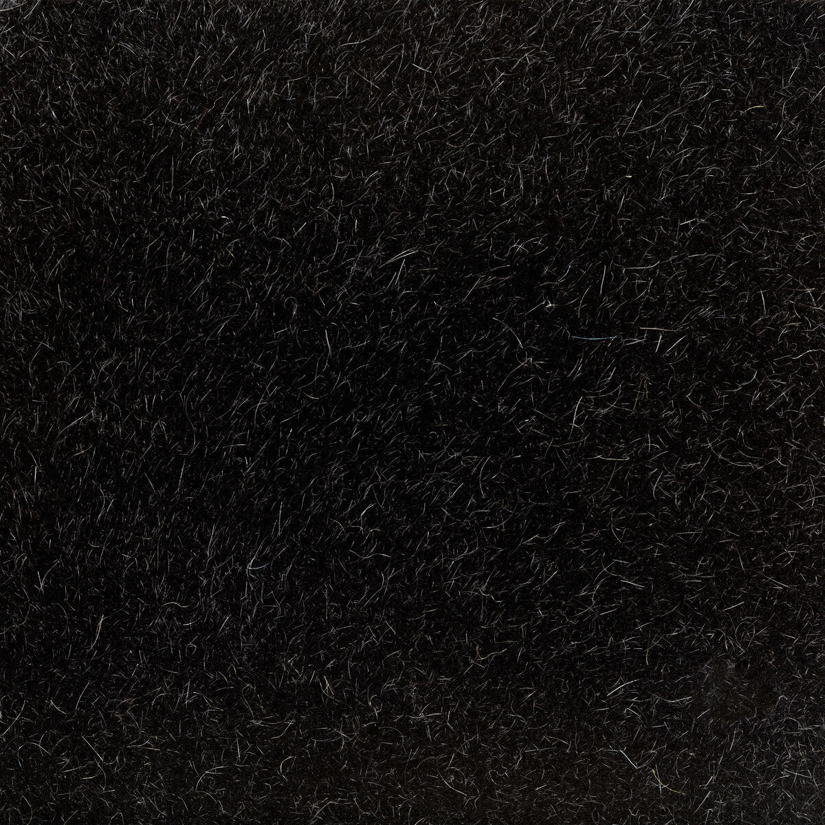Versa fabric in noir color - pattern number 6021102.8.0 - by Donghia in the Donghia I collection