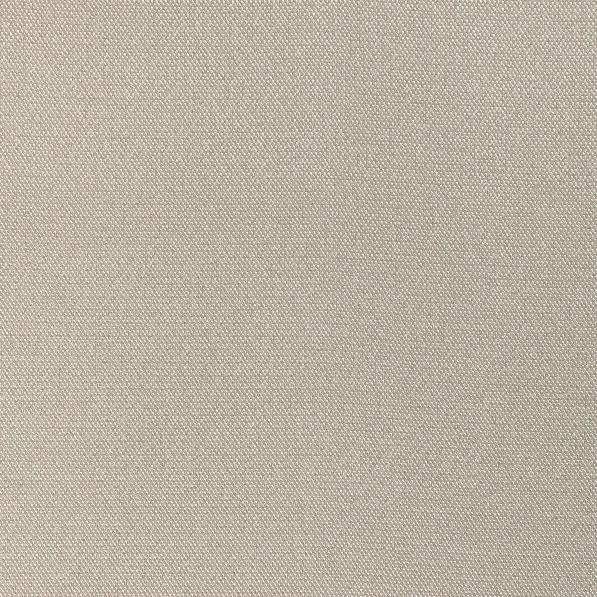 Formal Affair fabric in champagne color - pattern number 6022146.116.0 - by Donghia in the Donghia IV collection
