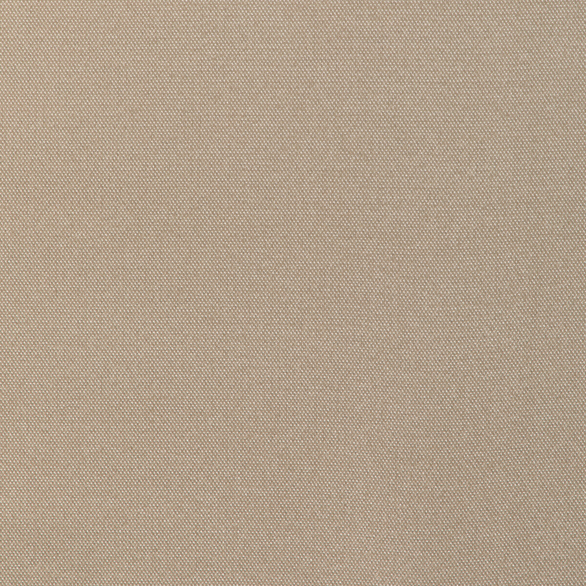Formal Affair fabric in wheat color - pattern number 6022146.16.0 - by Donghia in the Donghia IV collection