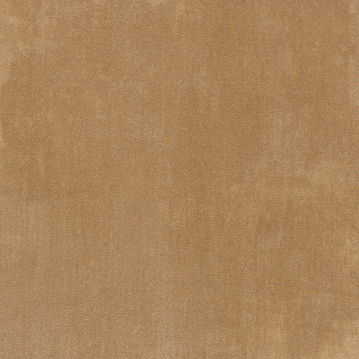 Moonlight fabric in biscuit color - pattern number 6025113.116.0 - by Donghia in the Moonlight Silk Velvet collection