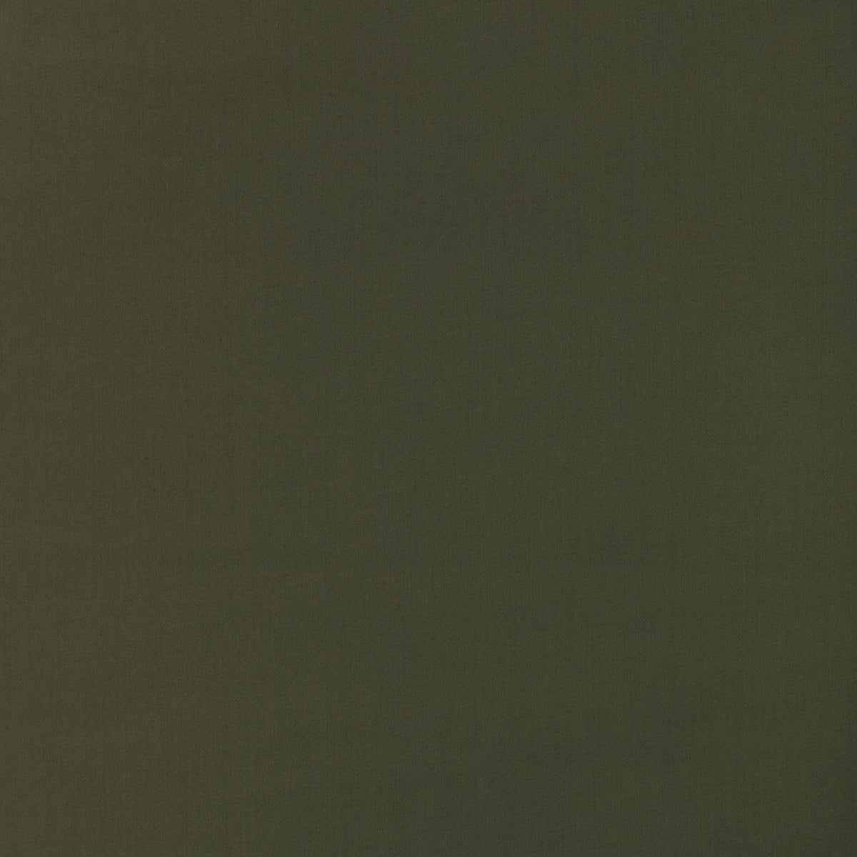 Savvy fabric in Fern color - pattern number 6026110.3.0 - by Donghia in the Ombre II collection