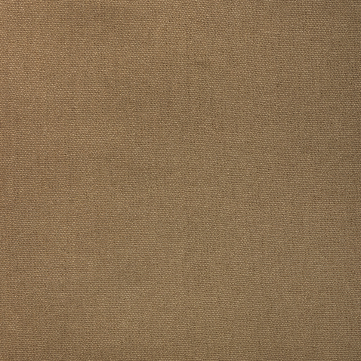 Connoisseur fabric in Straw color - pattern number 6026111.16.0 - by Donghia in the Ombre II collection