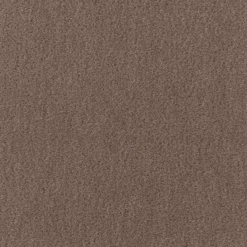 San Carlo Mohair Velvet fabric in driftwood color - pattern number 64868 - by Schumacher in the Perfect Basics: Velvet collection