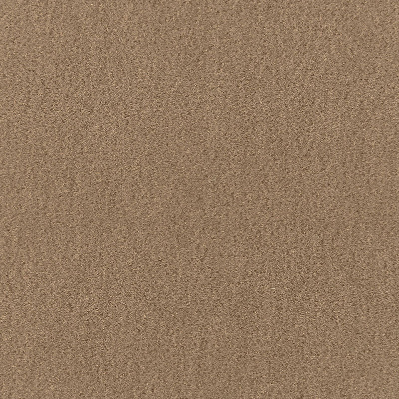 San Carlo Mohair Velvet fabric in sparrow color - pattern number 64885 - by Schumacher in the Perfect Basics: Velvet collection