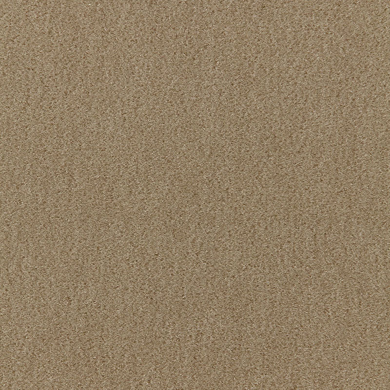 San Carlo Mohair Velvet fabric in sage color - pattern number 64887 - by Schumacher in the Perfect Basics: Velvet collection