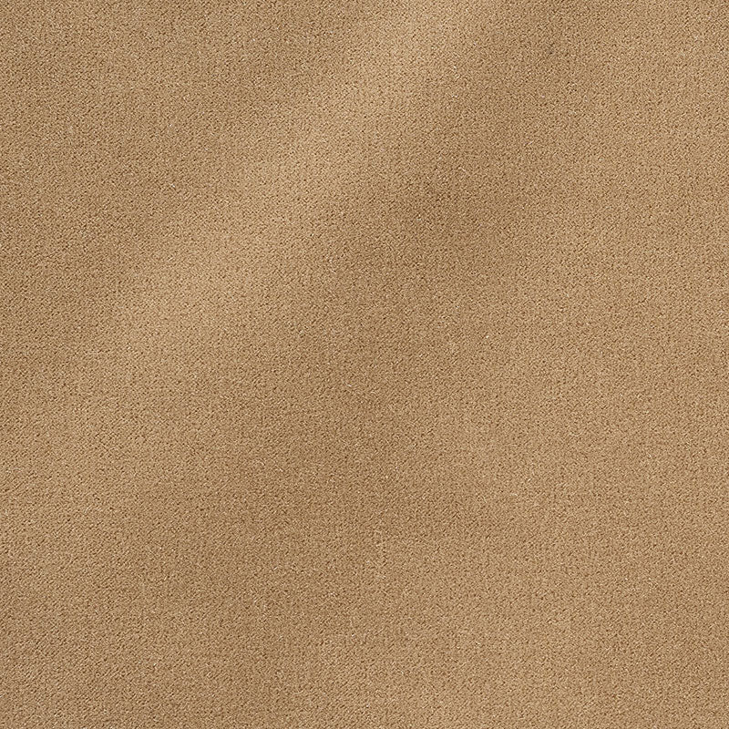 San Carlo Mohair Velvet fabric in doe color - pattern number 64898 - by Schumacher in the Perfect Basics: Velvet collection