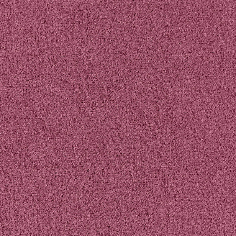 Palermo Mohair Velvet fabric in mulberry color - pattern number 64902 - by Schumacher in the Perfect Basics: Velvet collection
