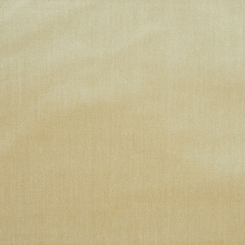 Venetian Silk Velvet fabric in oyster color - pattern number 70422 - by Schumacher in the Perfect Basics: Velvet collection