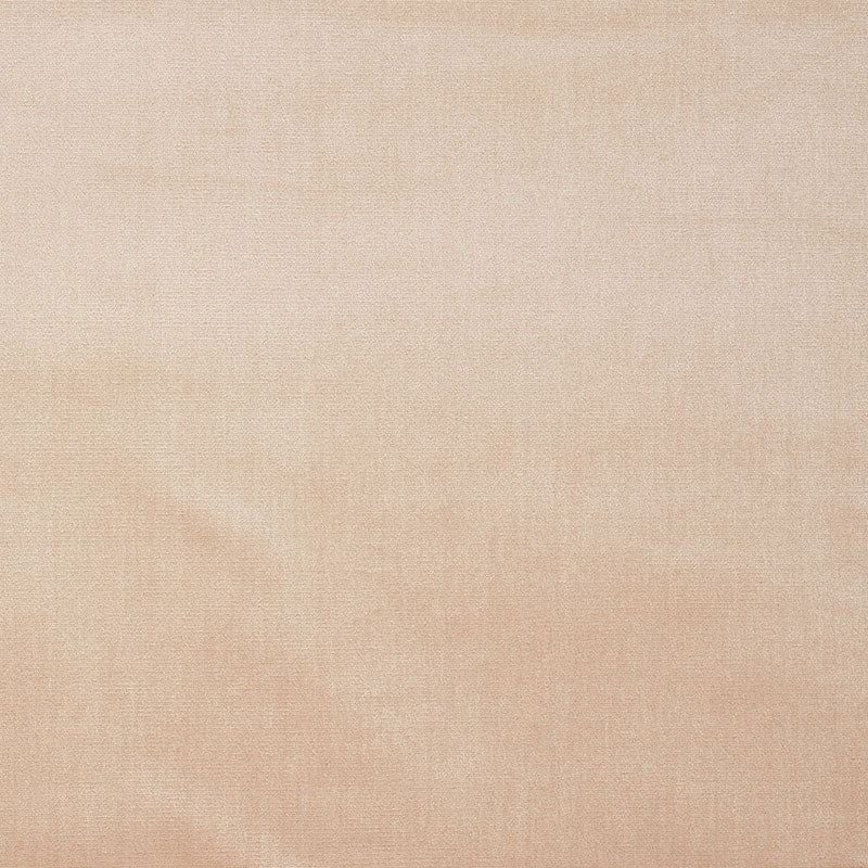 Venetian Silk Velvet fabric in petal color - pattern number 70445 - by Schumacher in the Perfect Basics: Velvet collection